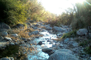 San Luis: Activación del arroyo piedras blancas